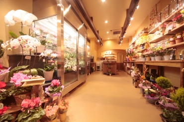 「ひさまつ花店」　（神奈川県川崎市川崎区）の花屋店舗写真2